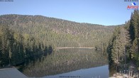 Archiv Foto Webcam Großer Arbersee - Bayerischer Wald 07:00