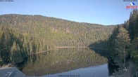 Archiv Foto Webcam Großer Arbersee - Bayerischer Wald 06:00