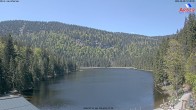 Archiv Foto Webcam Großer Arbersee - Bayerischer Wald 11:00