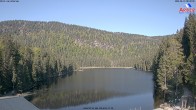 Archiv Foto Webcam Großer Arbersee - Bayerischer Wald 07:00