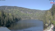 Archiv Foto Webcam Großer Arbersee - Bayerischer Wald 09:00