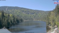 Archiv Foto Webcam Großer Arbersee - Bayerischer Wald 11:00