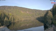 Archived image Webcam Lake "Großer Arbersee" (Bavarian Forest) 06:00