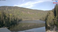 Archived image Webcam Lake "Großer Arbersee" (Bavarian Forest) 07:00