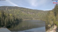 Archived image Webcam Lake "Großer Arbersee" (Bavarian Forest) 09:00