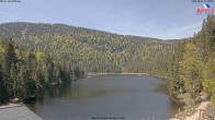 Archived image Webcam Lake "Großer Arbersee" (Bavarian Forest) 11:00