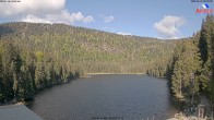 Archiv Foto Webcam Großer Arbersee - Bayerischer Wald 07:00