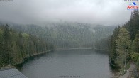 Archived image Webcam Lake "Großer Arbersee" (Bavarian Forest) 11:00