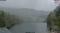 Archived image Webcam Lake "Großer Arbersee" (Bavarian Forest) 13:00