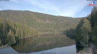Archiv Foto Webcam Großer Arbersee - Bayerischer Wald 06:00