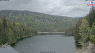 Archiv Foto Webcam Großer Arbersee - Bayerischer Wald 11:00