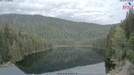 Archiv Foto Webcam Großer Arbersee - Bayerischer Wald 06:00
