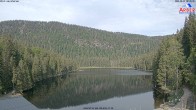 Archiv Foto Webcam Großer Arbersee - Bayerischer Wald 07:00