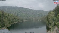 Archiv Foto Webcam Großer Arbersee - Bayerischer Wald 11:00