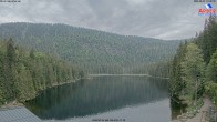Archiv Foto Webcam Großer Arbersee - Bayerischer Wald 13:00