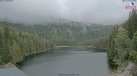 Archiv Foto Webcam Großer Arbersee - Bayerischer Wald 06:00