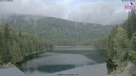 Archiv Foto Webcam Großer Arbersee - Bayerischer Wald 07:00