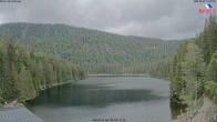 Archiv Foto Webcam Großer Arbersee - Bayerischer Wald 13:00