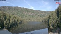Archiv Foto Webcam Großer Arbersee - Bayerischer Wald 07:00
