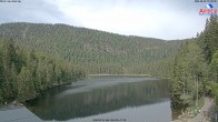 Archiv Foto Webcam Großer Arbersee - Bayerischer Wald 09:00