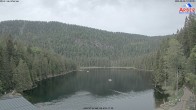 Archiv Foto Webcam Großer Arbersee - Bayerischer Wald 11:00