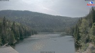 Archiv Foto Webcam Großer Arbersee - Bayerischer Wald 15:00
