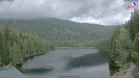 Archiv Foto Webcam Großer Arbersee - Bayerischer Wald 06:00