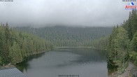 Archiv Foto Webcam Großer Arbersee - Bayerischer Wald 07:00