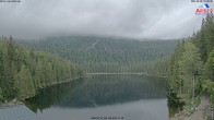Archiv Foto Webcam Großer Arbersee - Bayerischer Wald 09:00