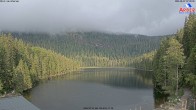 Archiv Foto Webcam Großer Arbersee - Bayerischer Wald 06:00