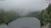 Archiv Foto Webcam Großer Arbersee - Bayerischer Wald 06:00