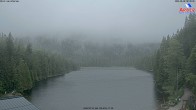Archiv Foto Webcam Großer Arbersee - Bayerischer Wald 07:00