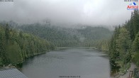 Archiv Foto Webcam Großer Arbersee - Bayerischer Wald 12:00