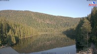 Archiv Foto Webcam Großer Arbersee - Bayerischer Wald 06:00