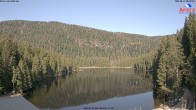 Archiv Foto Webcam Großer Arbersee - Bayerischer Wald 07:00