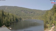 Archiv Foto Webcam Großer Arbersee - Bayerischer Wald 11:00