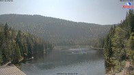 Archiv Foto Webcam Großer Arbersee - Bayerischer Wald 15:00