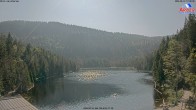 Archiv Foto Webcam Großer Arbersee - Bayerischer Wald 17:00