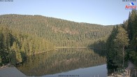 Archiv Foto Webcam Großer Arbersee - Bayerischer Wald 06:00