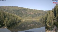 Archiv Foto Webcam Großer Arbersee - Bayerischer Wald 07:00