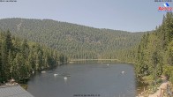 Archiv Foto Webcam Großer Arbersee - Bayerischer Wald 11:00