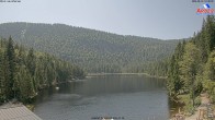 Archiv Foto Webcam Großer Arbersee - Bayerischer Wald 13:00
