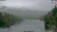 Archiv Foto Webcam Großer Arbersee - Bayerischer Wald 06:00