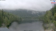 Archiv Foto Webcam Großer Arbersee - Bayerischer Wald 07:00