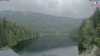Archiv Foto Webcam Großer Arbersee - Bayerischer Wald 11:00