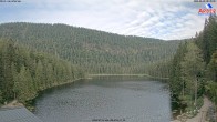 Archiv Foto Webcam Großer Arbersee - Bayerischer Wald 07:00