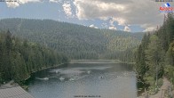Archiv Foto Webcam Großer Arbersee - Bayerischer Wald 13:00