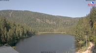 Archiv Foto Webcam Großer Arbersee - Bayerischer Wald 09:00