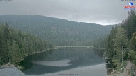 Archiv Foto Webcam Großer Arbersee - Bayerischer Wald 07:00