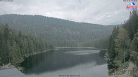 Archiv Foto Webcam Großer Arbersee - Bayerischer Wald 09:00